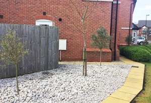garden areas